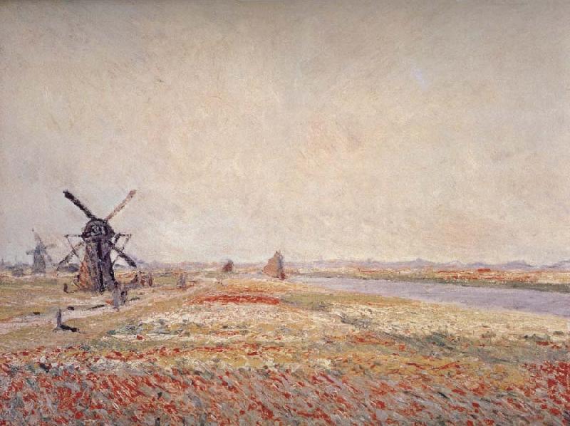 Claude Monet Field of Flowers and Windmills Near Leiden Spain oil painting art
